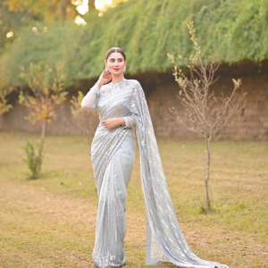 Silver sequinned saree