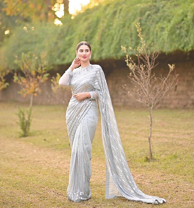 Silver sequinned saree
