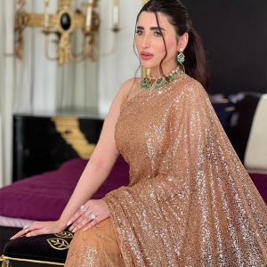 Gold Glittery Chiffon Saree