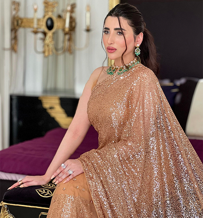 Gold Glittery Chiffon Saree