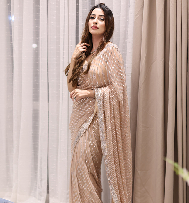 Beige Silver Sequin Saree